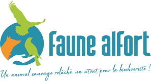Logo Faune Alfort 2022