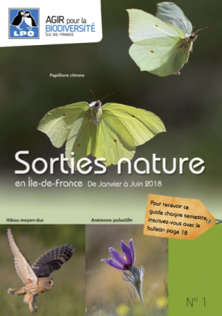 Sorties nature en Île-de-France de janvier à juin 2018