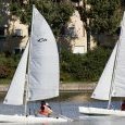 IMG 0763 © Michel du lac de Creteil