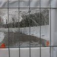 IMG 1960 resize