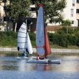 IMG 0758 © Michel du lac de Creteil