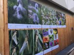 img_7140.jpg - JPEG - 335.8 ko - 1280×960 px