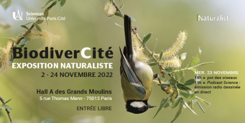 Bandeau de l'exposition BiodiverCité.