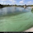 IMG 175 Lac de Creteil