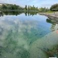 IMG 278 Lac de Creteil