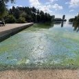 IMG 429 Lac de Creteil