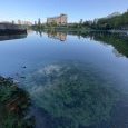 IMG 391 Lac de Creteil