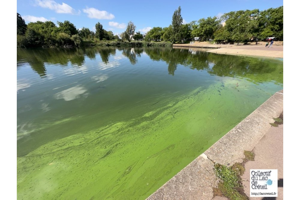 IMG 450 Lac de Creteil