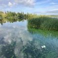 IMG 276 Lac de Creteil