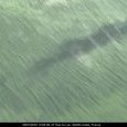 IMG 142 Lac de Creteil
