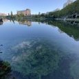 IMG 392 Lac de Creteil
