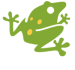 Amphibiens
