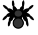 araignée