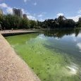 IMG 423 Lac de Creteil