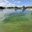 IMG 291 Lac de Creteil