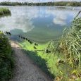 IMG 478 Lac de Creteil