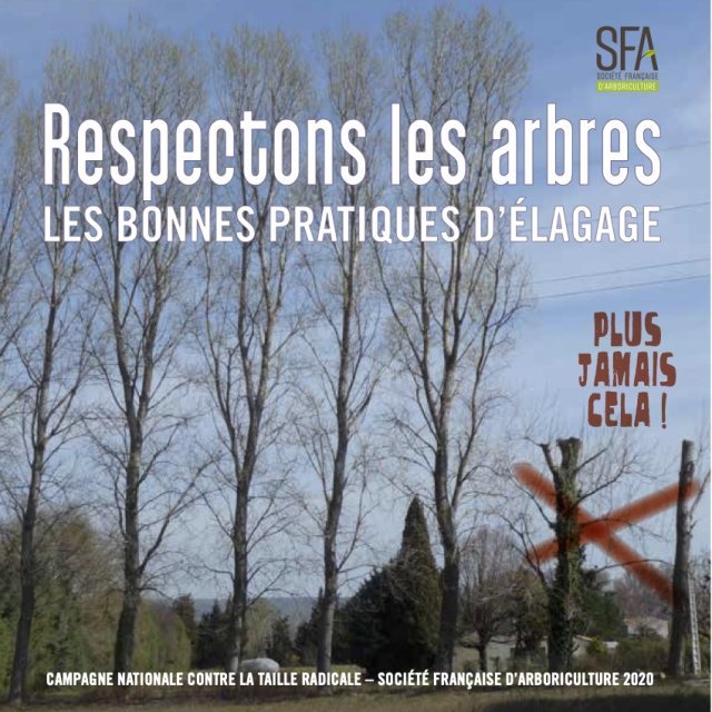 2021 plaquetteSFA1