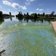 IMG 438 Lac de Creteil