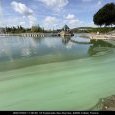 IMG 165 Lac de Creteil