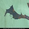 IMG 167 Lac de Creteil
