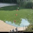 IMG 115 Lac de Creteil