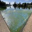 IMG 444 Lac de Creteil