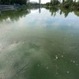 IMG 197 Lac de Creteil