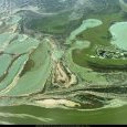 IMG 151 Lac de Creteil