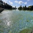 IMG 435 Lac de Creteil