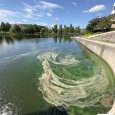 IMG 285 Lac de Creteil