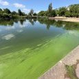 IMG 450 Lac de Creteil