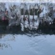 IMG 384 Lac de Creteil