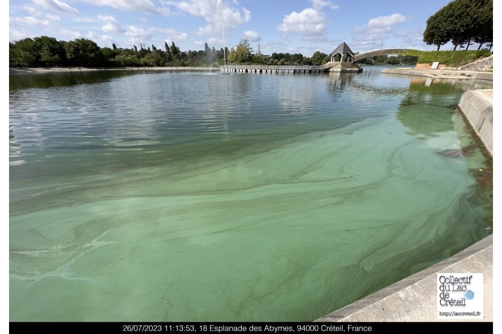  IMG 175 Lac de Creteil