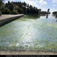 IMG 430 Lac de Creteil