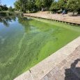 IMG 428 Lac de Creteil