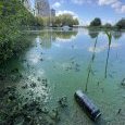 IMG 465 Lac de Creteil