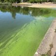 IMG 449 Lac de Creteil