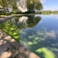 IMG 472 Lac de Creteil