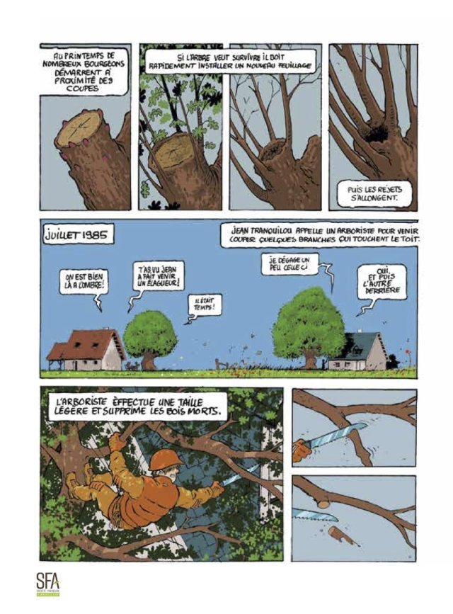 Page 3 4