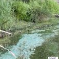 IMG 192 Lac de Creteil