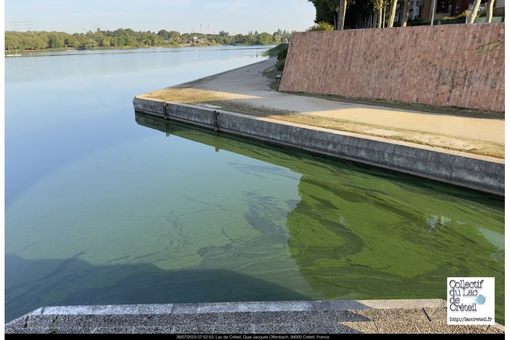  IMG 100 Lac de Creteil