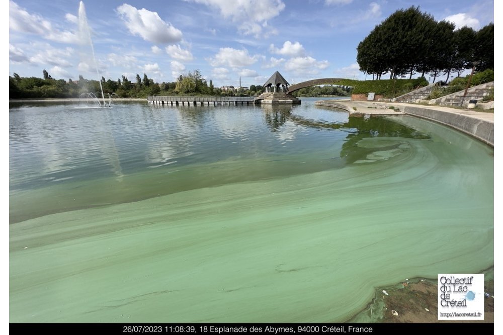  IMG 165 Lac de Creteil