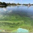 IMG 300 Lac de Creteil
