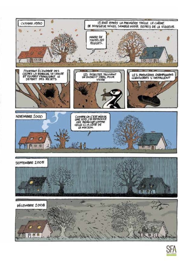 Page 2 4