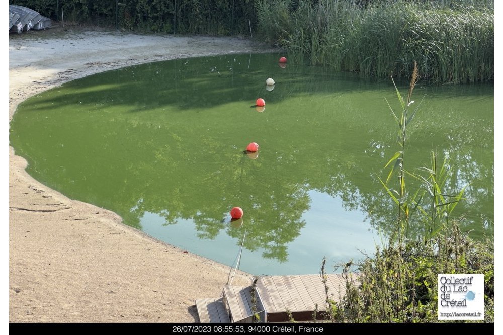  IMG 115 Lac de Creteil
