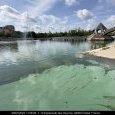 IMG 163 Lac de Creteil