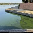 IMG 100 Lac de Creteil