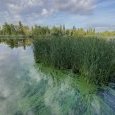 IMG 275 Lac de Creteil