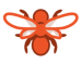 Insecte