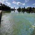 IMG 437 Lac de Creteil